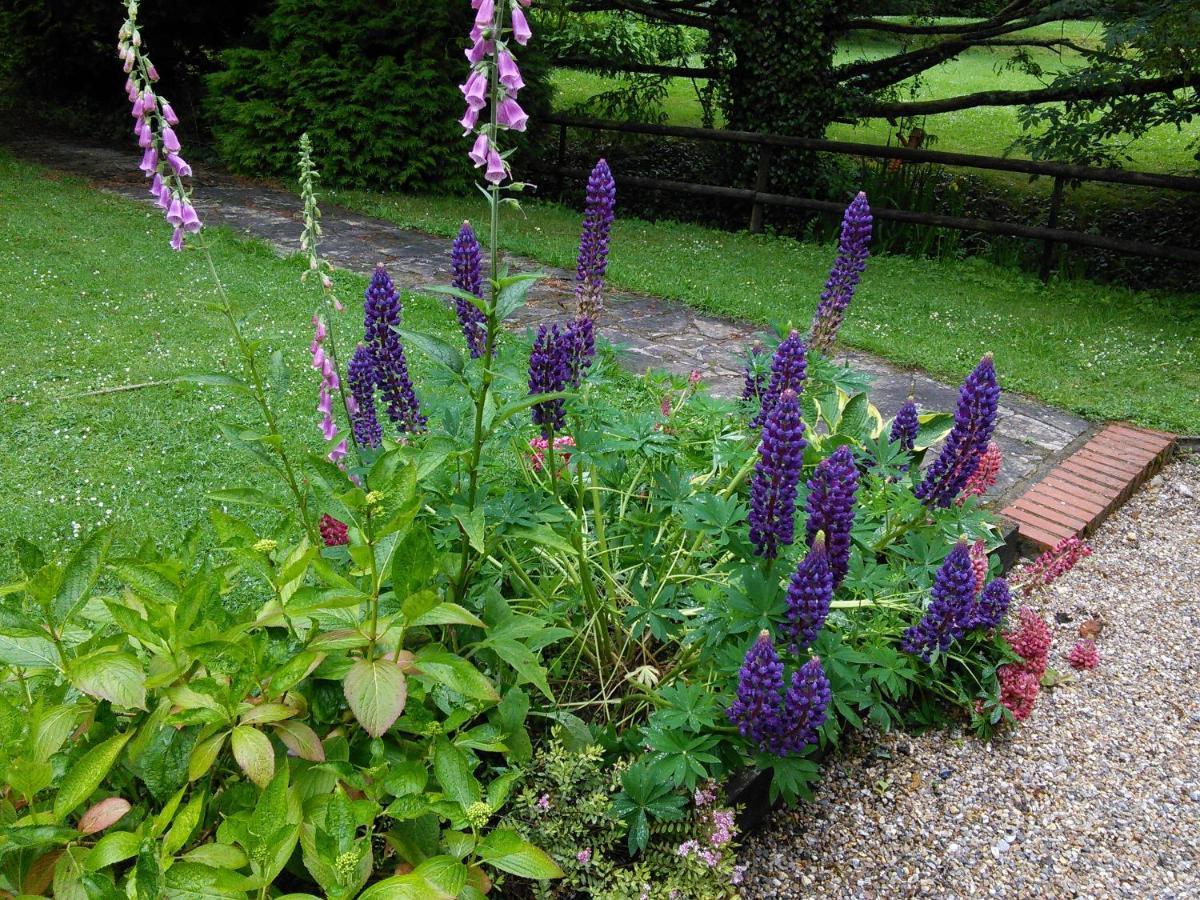 Felbrigg Lodge Bed And Breakfast Aylmerton Exterior foto